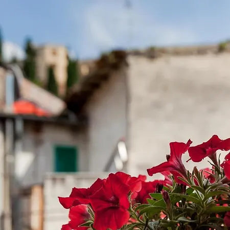 La Terrazza Sul Teatro Apartament *
