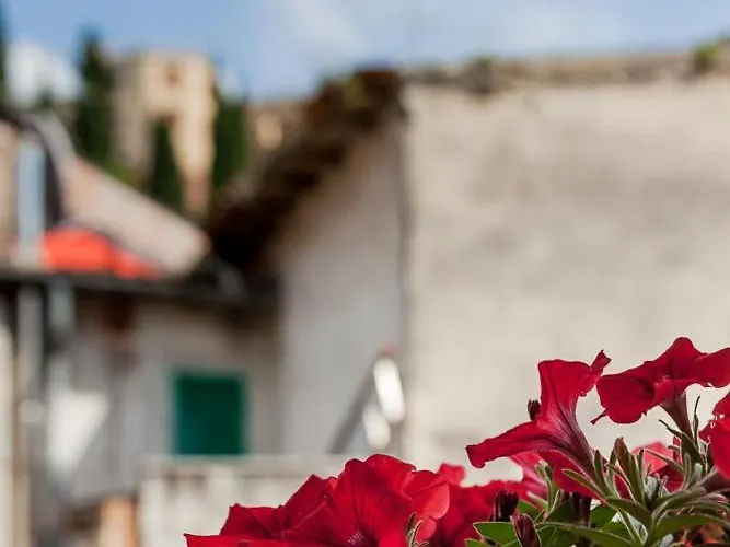 La Terrazza Sul Teatro Appartamento *
